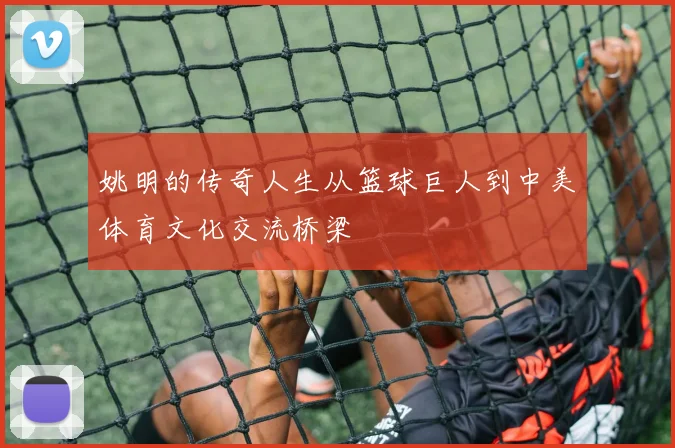 姚明的传奇人生从篮球巨人到中美体育文化交流桥梁