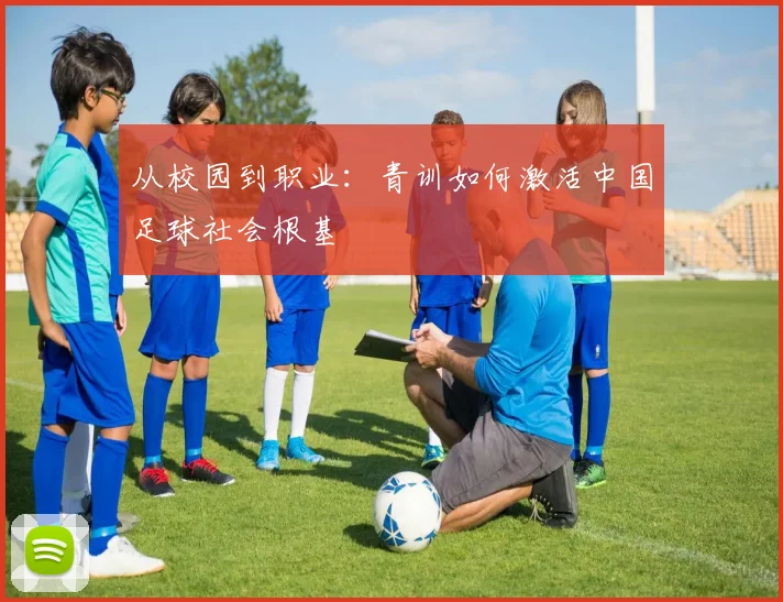 从校园到职业：青训如何激活中国足球社会根基