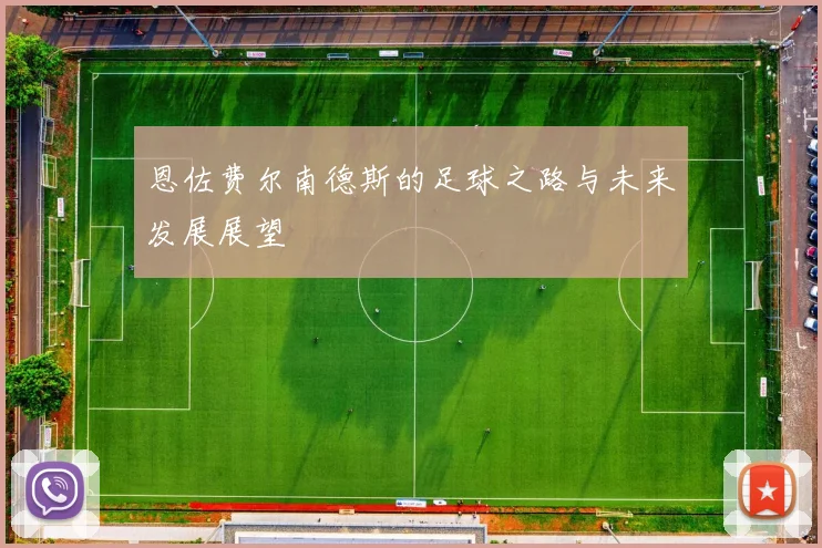 恩佐费尔南德斯的足球之路与未来发展展望
